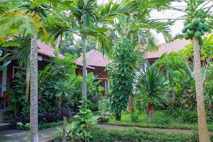 Enak Bungalow Амед Екстер'єр фото